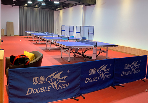 乒乓球直板反胶基本的技术是怎样的 乒乓球直板反胶基本的技术是怎样的