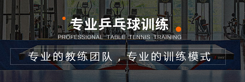 青少年乒乓球培训.png 青少年乒乓球培训.png