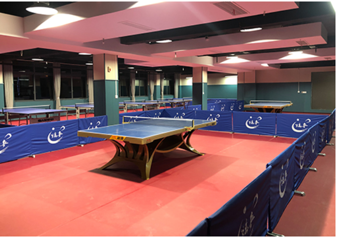 渝北少儿乒乓球培训 渝北少儿乒乓球培训
