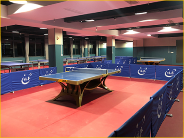 青少年乒乓球培训班 青少年乒乓球培训班