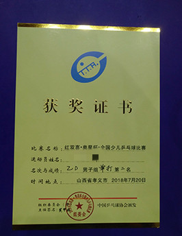 红双喜.奥星杯全国少儿乒乓球比赛